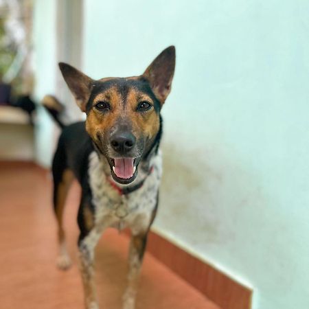 Apartament Baba Luru'S Varkala Zewnętrze zdjęcie
